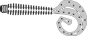G-TAIL TWIST